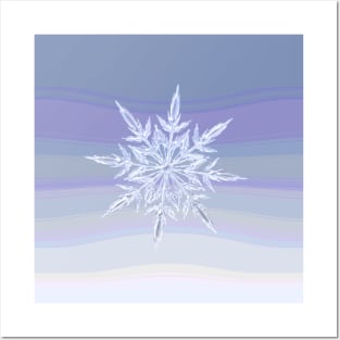 Snowflake Posters and Art